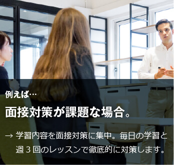 コーチング英会話「トライズ」特殊な業界の会議の場合