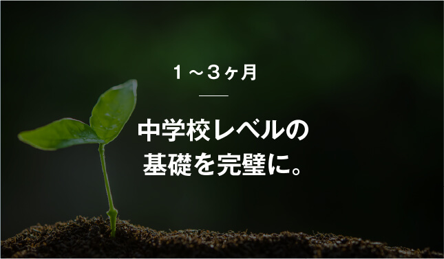コーチング英会話「トライズ」中学レベルの基礎を完璧に。
