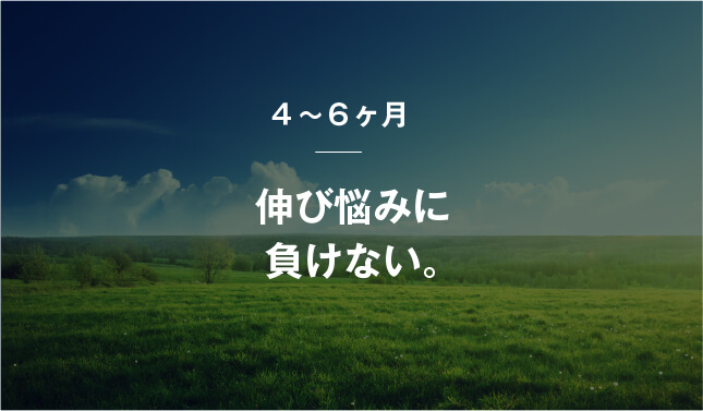 コーチング英会話「トライズ」伸び悩みに負けない。