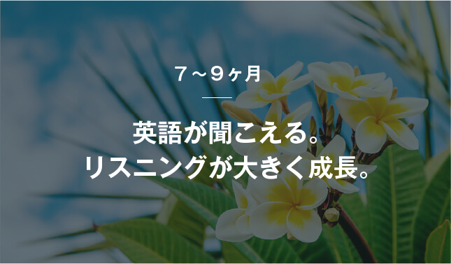 コーチング英会話「トライズ」英語が聞こえる。リスニングが大きく成長。