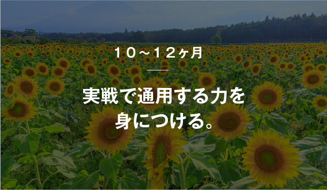 コーチング英会話「トライズ」実戦で通用する力を身につける。